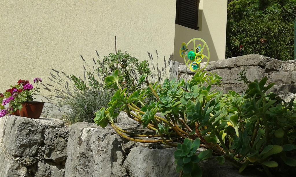 Apartment Adela Κότορ Εξωτερικό φωτογραφία