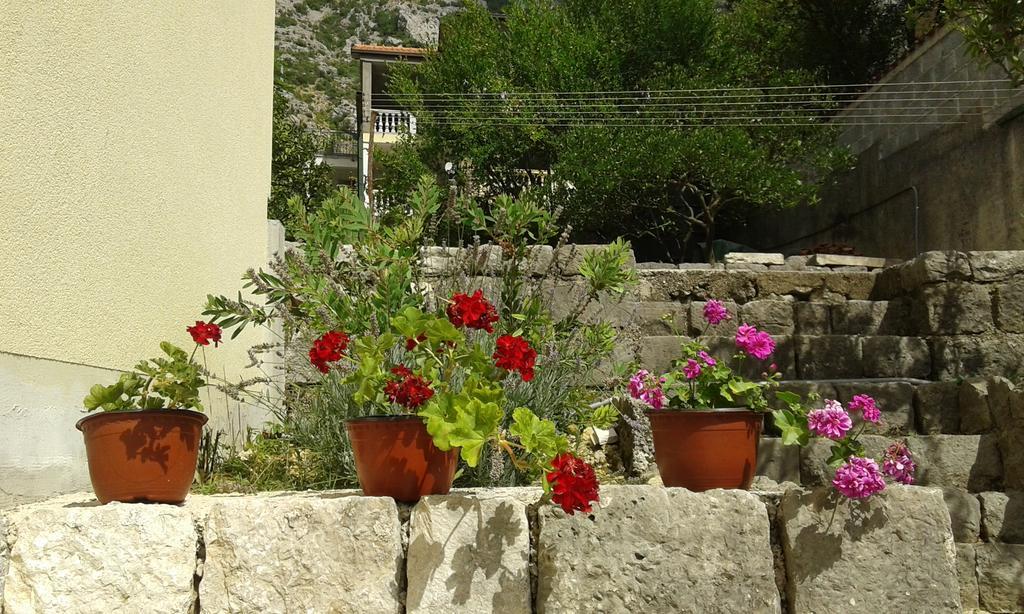 Apartment Adela Κότορ Εξωτερικό φωτογραφία